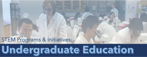 Undergraduate Education