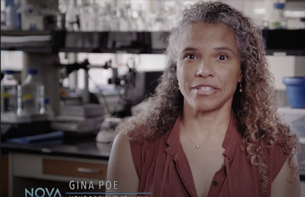 Poe on NOVA Life Sciences