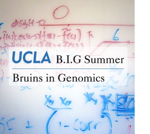 UCLA Bruins-In-Genomics Summer Undergraduate Research Program